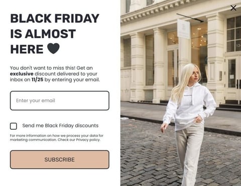 Image shows Balkan Bred's welcome popup example, offering a discount for Black Friday for people who sign up.
