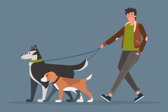 Illustration shows a teenager walking with two dogs, a bigger, husky-like dog and a beagle. This image illustrates how dog-walking can work as business ideas for teens.