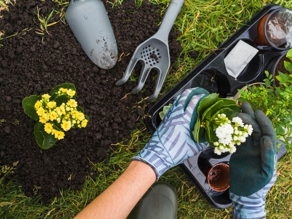 Picture shows a person gardening at home, illustrating how you can grow plants to sell online.