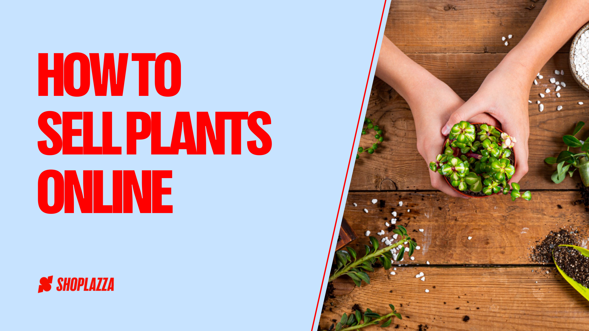 Cover image shows the title of the blog post, How to Sell Plants Online, and the Shoplazza logo on the left. On the right, there's a picture of a person over a wooden table, holding a potted plant.